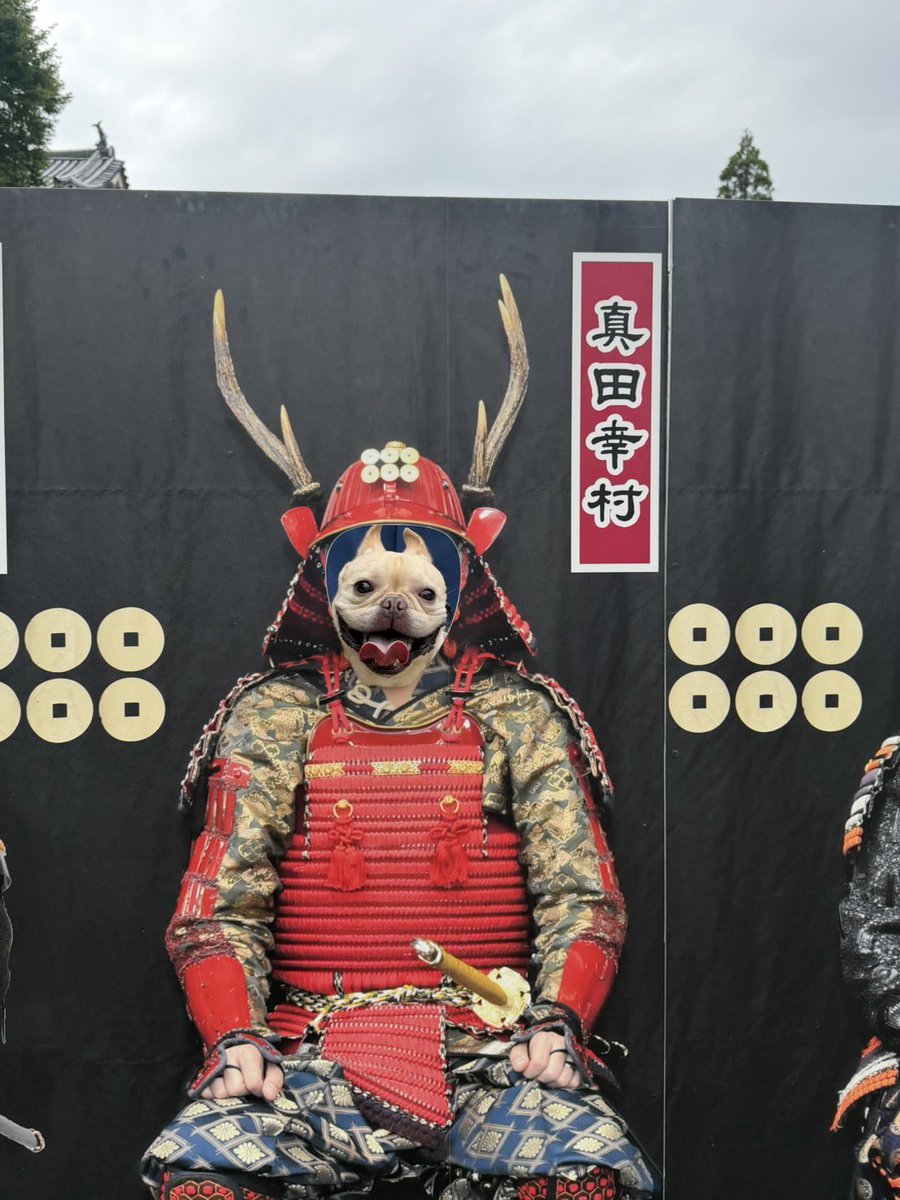 gomennat's tweet photo. 切腹命じてくる。 https://t.co/uT8SKBr4JU