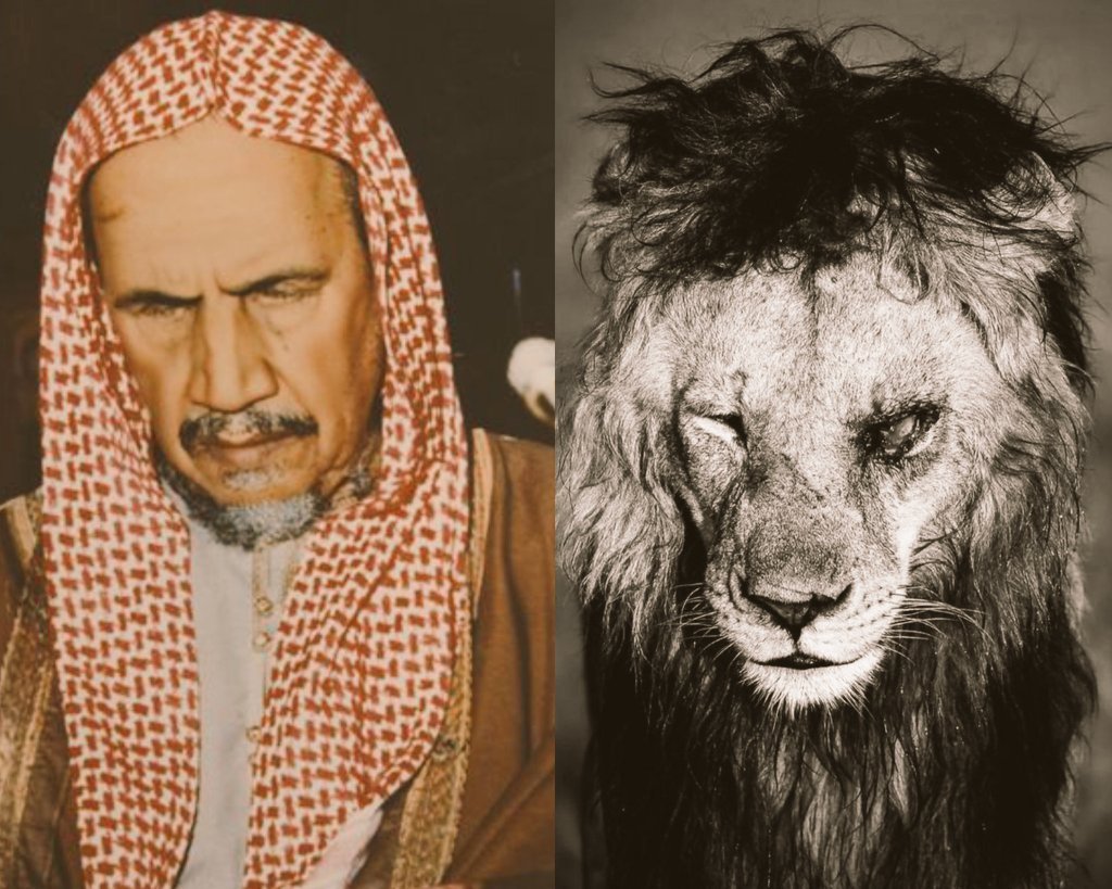 salahudeen33's tweet photo. Sheikh Ibn Baz رحمه اللّٰه said: When I lost my sight as a child, I heard my aunt say to my mother, thinking I was asleep, "Poor Abdul Aziz, how will he get a job to support himself?".

- He later became the Grand Mufti of the Kingdom, Chairman of the Council of Senior Scholars, Chairman of the Islamic Jurisprudence Academy, and winner of the King Faisal Prize for Service to Islam ©️