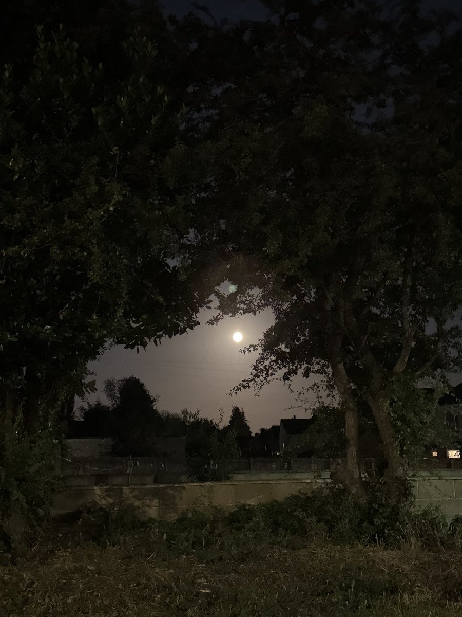 surelyrafay's tweet photo. moon is zo #brigth https://t.co/0RG79izBUQ