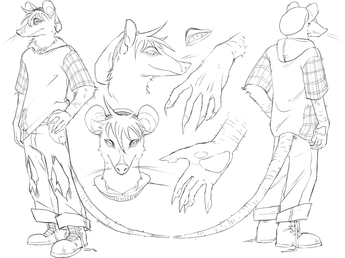 TF2Pimp's tweet photo. possum anthro turnaround commission from a couple months ago https://t.co/vgwjaCRtv3