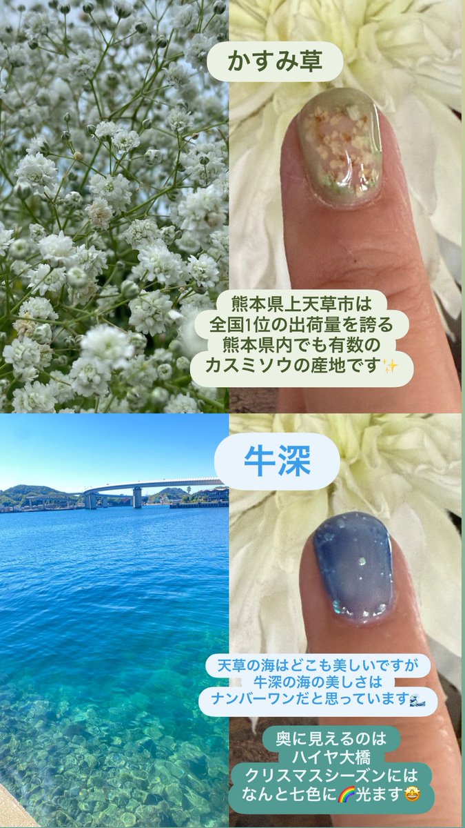 bx_ob6's tweet photo. 天草ネイルしました🐚🐬🏝️ https://t.co/8QmBqfgK4r