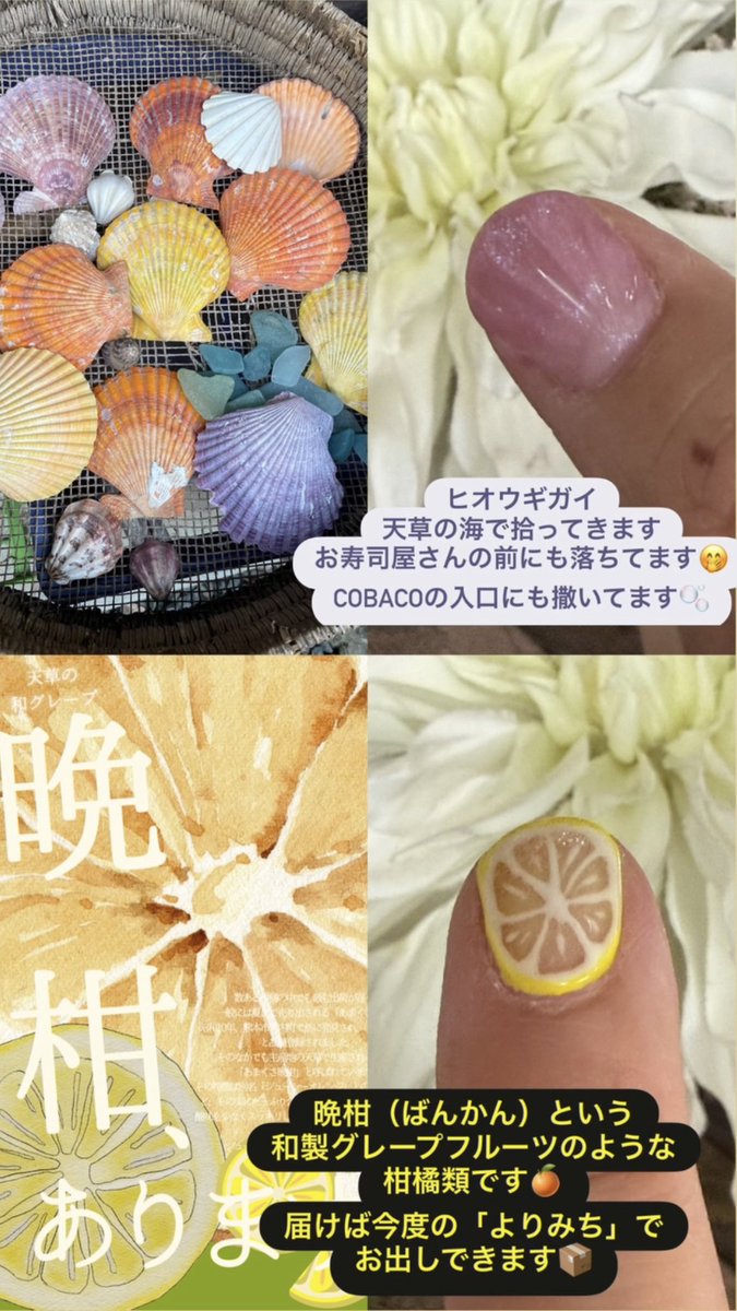 bx_ob6's tweet photo. 天草ネイルしました🐚🐬🏝️ https://t.co/8QmBqfgK4r
