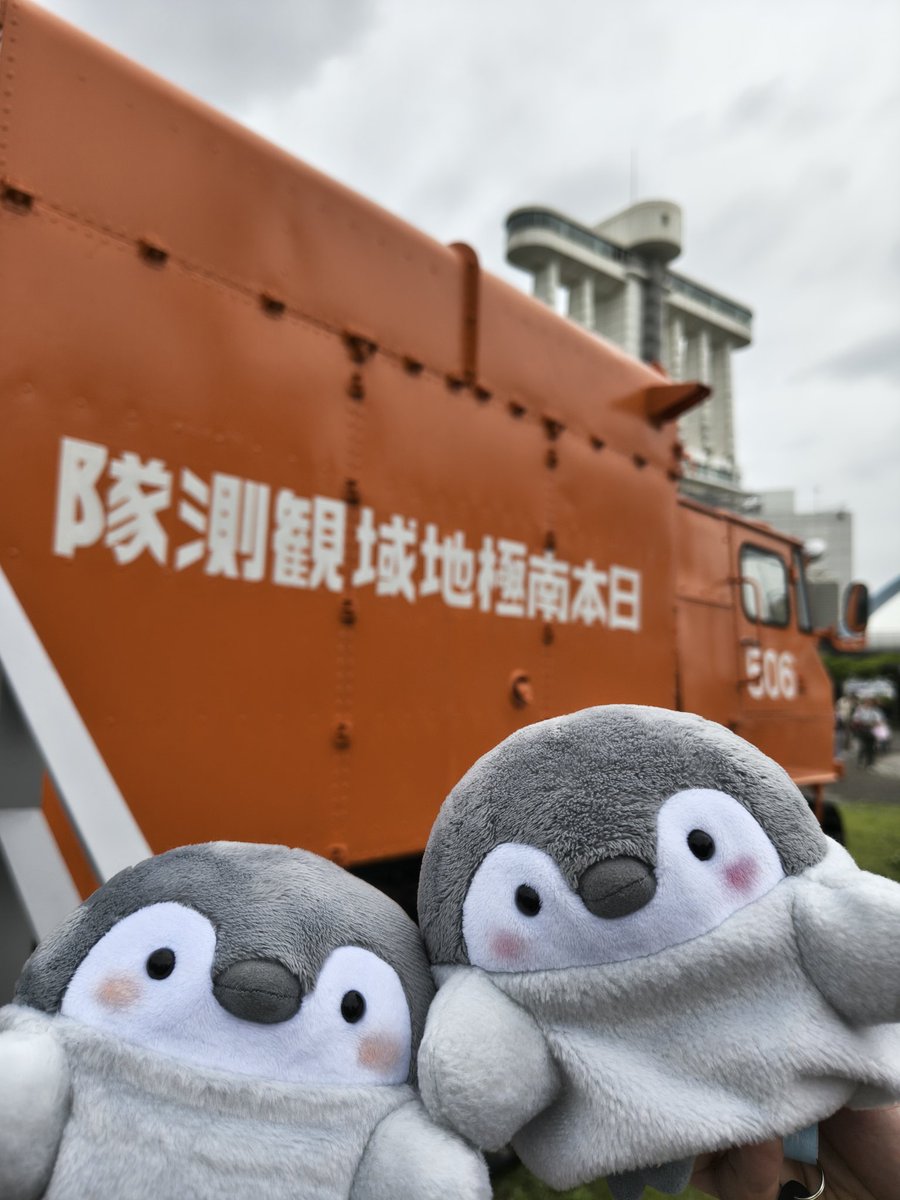 mitsubaaoi1852's tweet photo. おはようございます
月曜日の朝
今日は深夜のサッカーに備えて昼間に仮眠すべきか迷う所

それでは今日も良い日になりますように https://t.co/dL1nBgJBOk