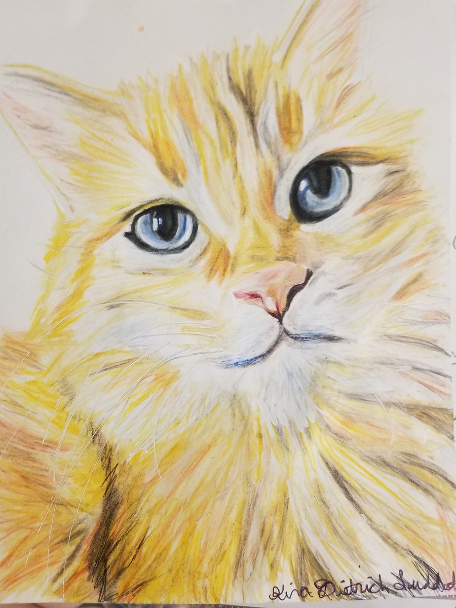 ninjificus's tweet photo. Some of my slightly older Prismacolor work....might post them all...these were all commissions. https://t.co/2XVQzO7Jgy