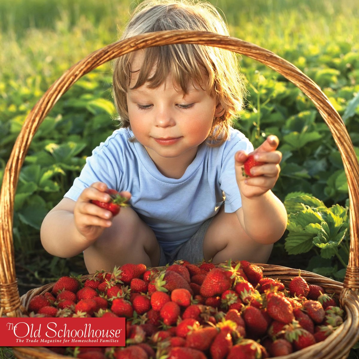 TOSMag's tweet photo. Learning through the Summer

Summer provides opportunity for kids to explore business prospects and career options as they learn valuable skills in just a few months. (Find this and other articles at https://t.co/RoQcKqcnj8.).

Read  today  https://t.co/nYegUfQvtl https://t.co/dNC4k6LLVF