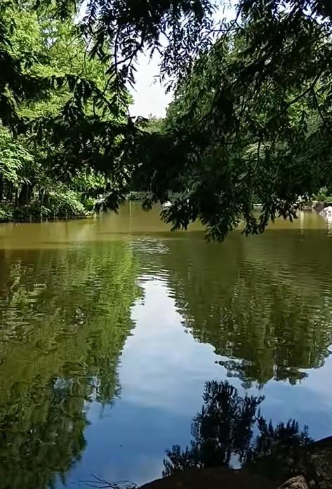 dailywallscape's tweet photo. 💧 By the Still Water

A peaceful short movie inspired by calm waters and quiet moments in nature.

🎵 Free Music
⏱️ Short Movie
Take a moment to relax, focus, and enjoy the stillness.

https://t.co/Pfey7Bu6oP

#DailyWalkscape #ByTheStillWater #AmbientMusic #FreeMusic https://t.co/XgPmaksts5