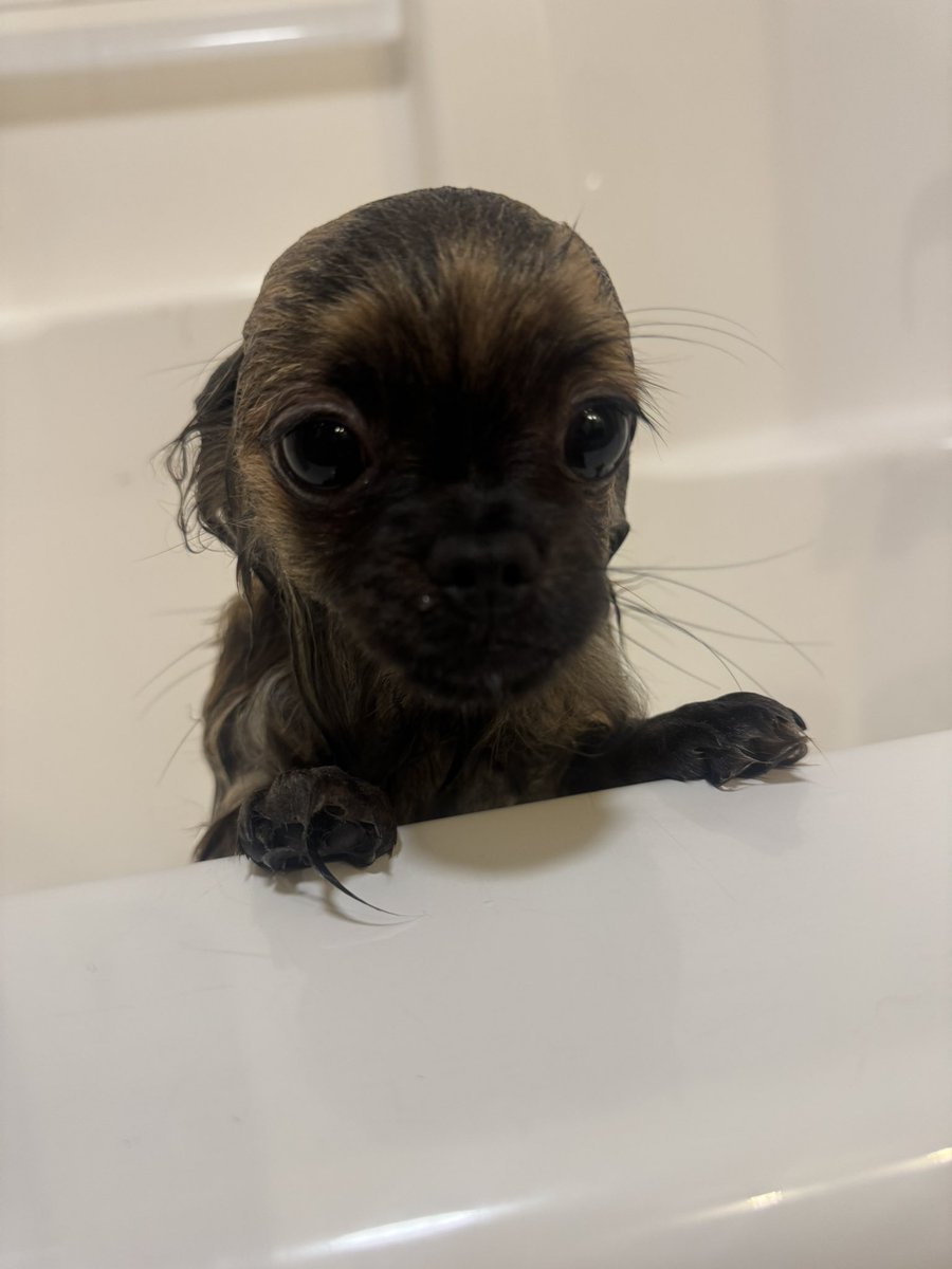 badessieee's tweet photo. Gave my baby sis a bath 🥰🥺 https://t.co/Vufpubvc9r
