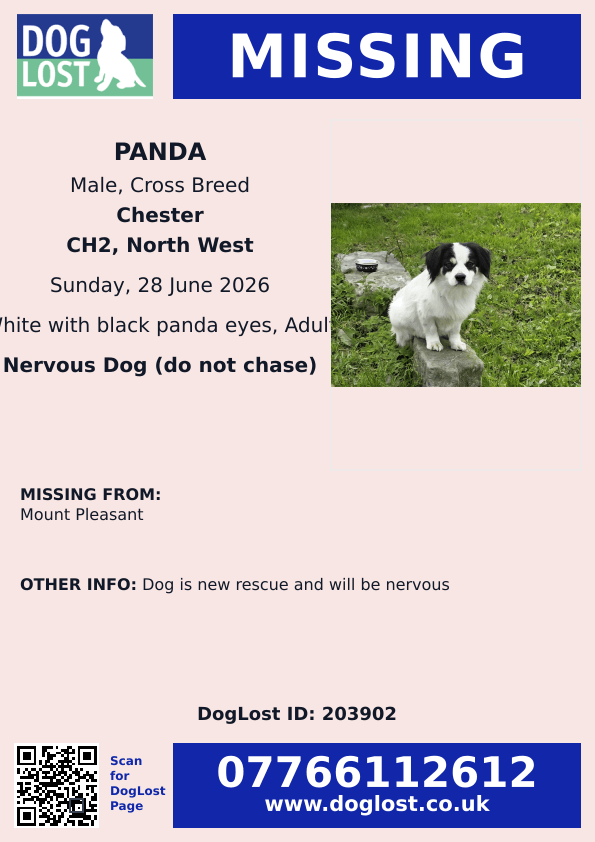 millypod1's tweet photo. 🆘28 JUNE 2025 #Lost Panda #ScanMe
Cross Breed Male. New Rescue and will be nervous
Mount Pleasant #Chester #Cheshire #CH2
#Elton #Hoole #Ince #MickleTrafford #Moston,
https://t.co/Iefi54OsiB https://t.co/Tfd2rAaCvg
