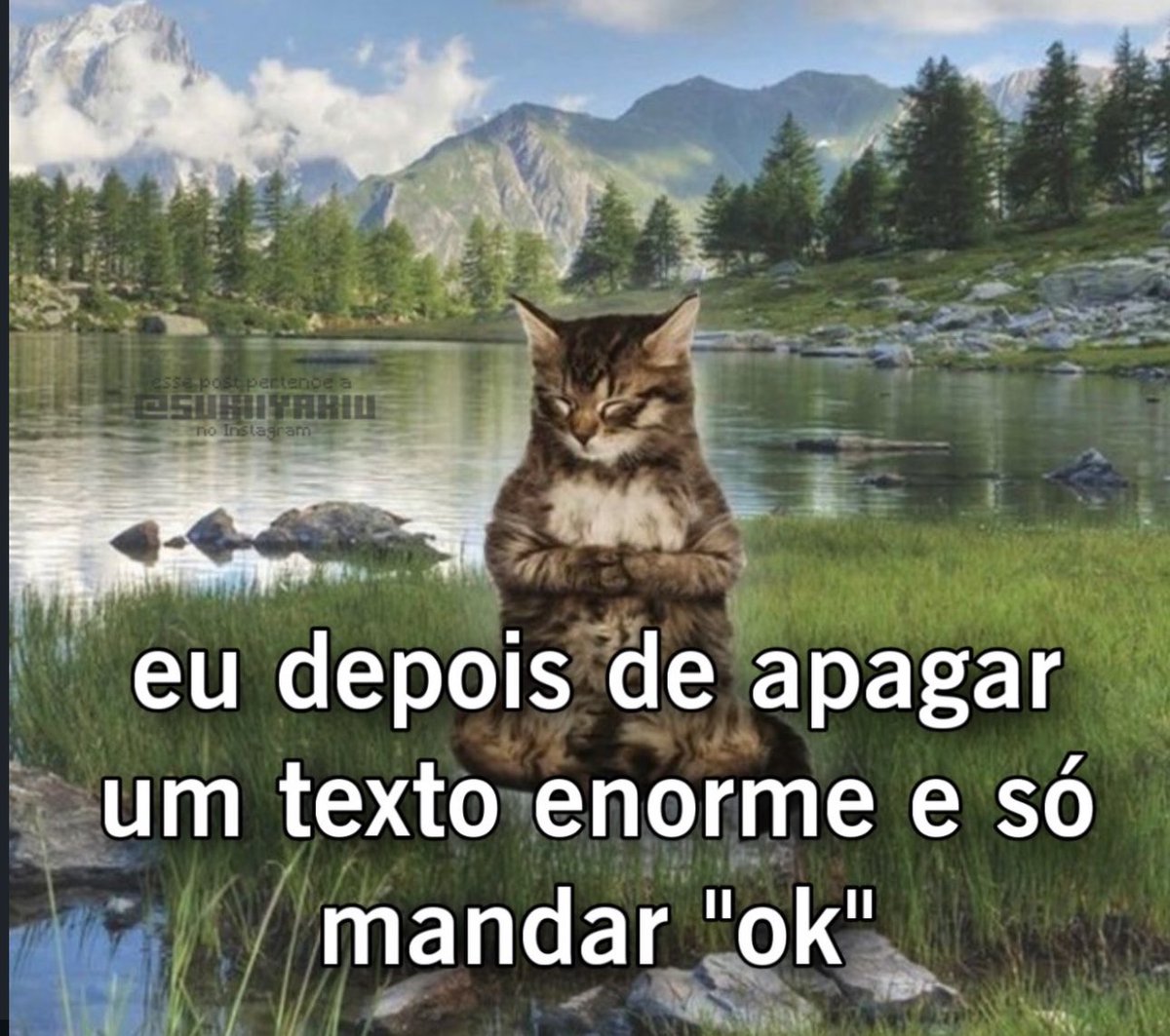 shitpostverdade's tweet photo. https://t.co/izQ0DmGY21