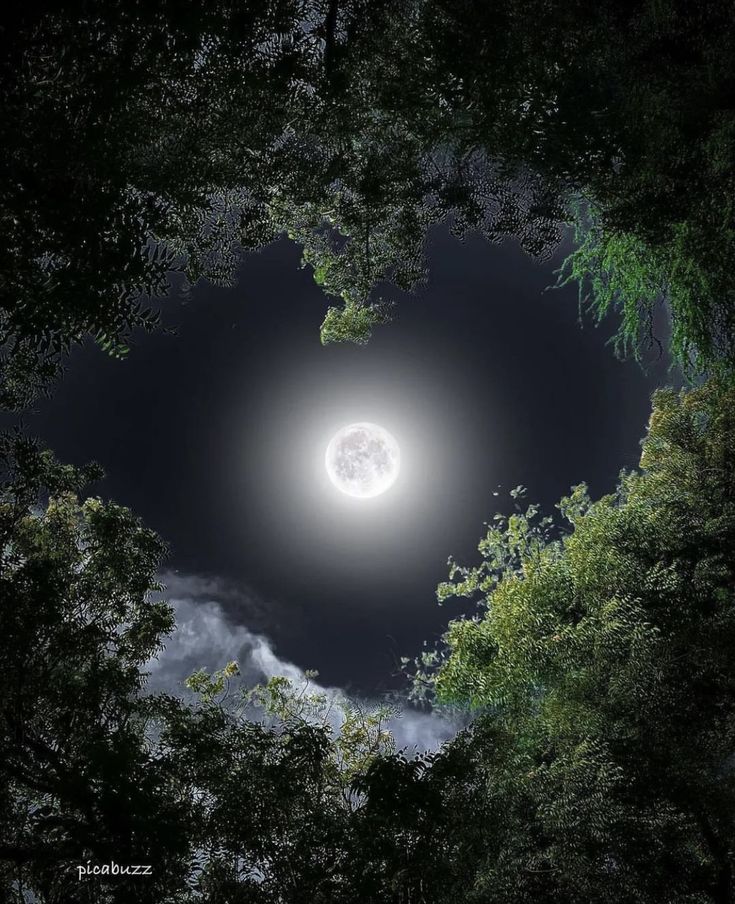 earth_moonw's tweet photo. https://t.co/YXIGbDoGZe