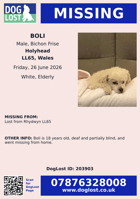 millypod1's tweet photo. 🆘26 JUNE 2026 #Lost Boli #ScanMe
ELDERLY Bichon Frise Male
Boli is 18 years old, deaf and partially blind, and went missing from home😢
#Rhydwyn ( Rhyd-Wyn) Cylch-y-Garn #Anglesey #Wales #LL65 #Holyhead
https://t.co/LNa1vTS3Tp https://t.co/5k8BIqvW6x