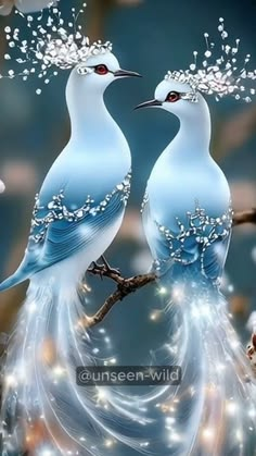 YZakor87701's tweet photo. @alrayrr33 https://t.co/npQAYZrsHM