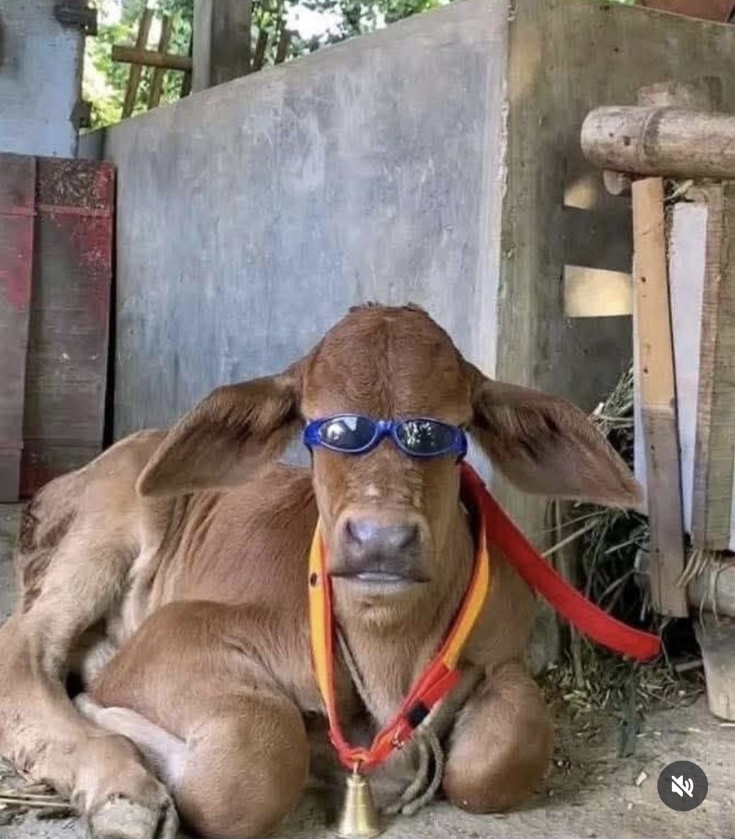 Reisshub tweet media