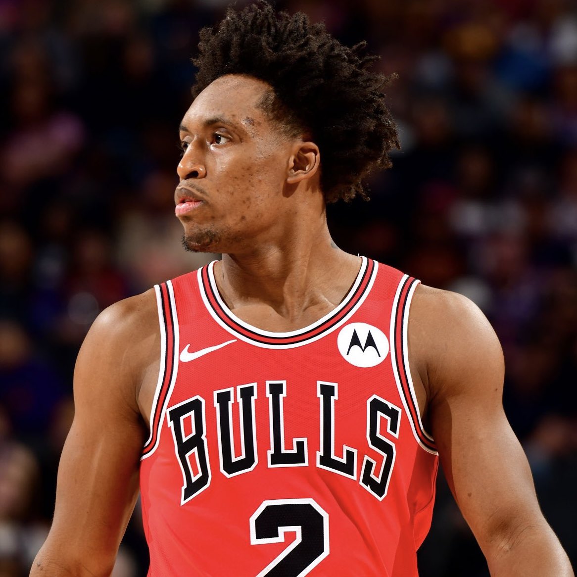 PolymarketHoops's tweet photo. The Warriors are interested in Collin Sexton and Anfernee Simons when free agency opens up, per @TheSteinLine. https://t.co/GJm7SnNl56
