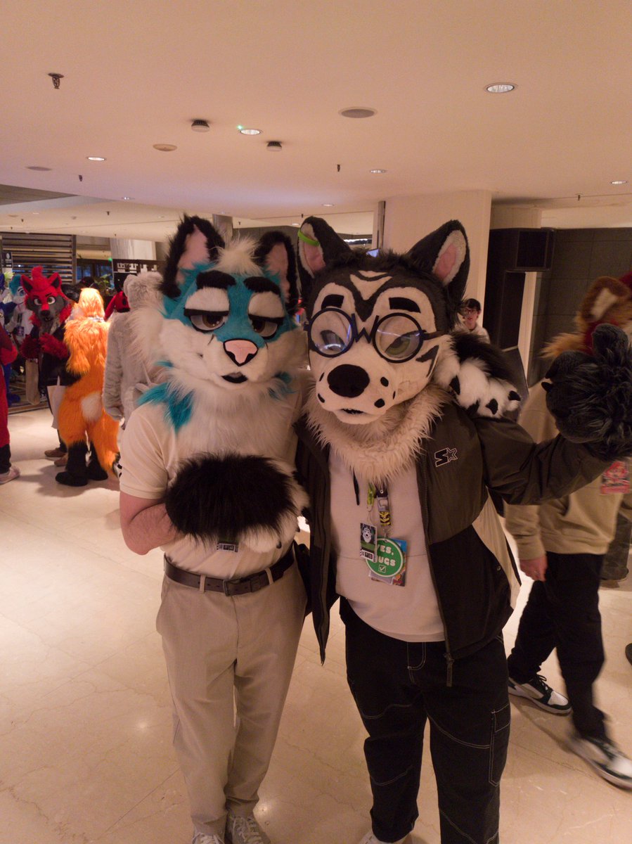 CyanFoxArt's tweet photo. some pics from #arff :3 https://t.co/Iyyl60p0mr
