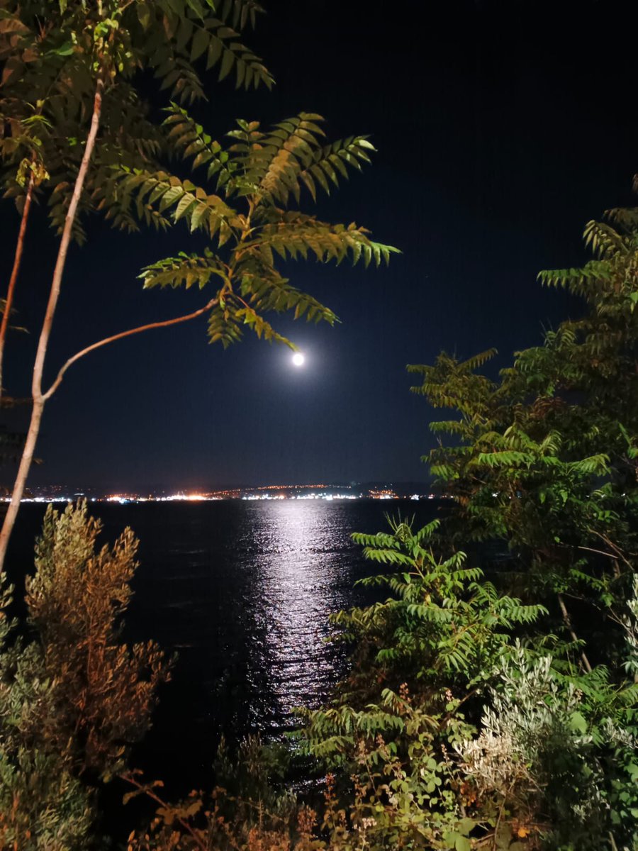 pelin_cee's tweet photo. Yakamoz vurmuş denize… Geriye sadece susup o güzelliği izlemek kalmış. 🌙✨ https://t.co/Sea3uwNf69