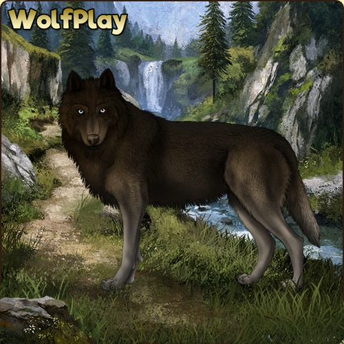 WolfPlayGame1's tweet photo. Today's featured Game Wolf! Embark on an adventure and play for free today!
#wolf #wolves #wolfgame #wolfplaygame #animals #simgame #petsim #petgame #animalgame #wolfpack #wolfart #gameart #fantasy #roleplay #game #art https://t.co/jT3w8CNe7O