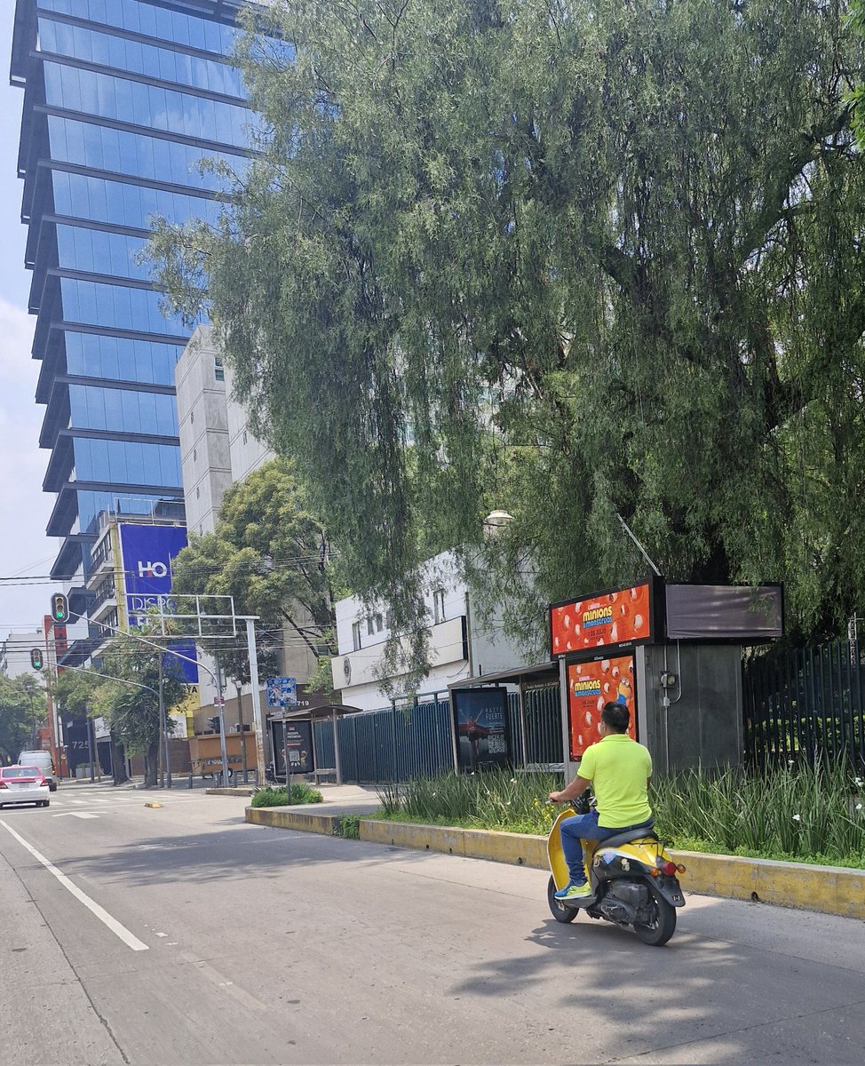 DGaruga's tweet photo. Como tantos en la CDMX: Sin placa, sin casco y zigzageando por carriles centrales. 
Este en Av. Revolución.
¿Y la @SSC_CDMX? Bien, gracias. https://t.co/pO2KEqidrn