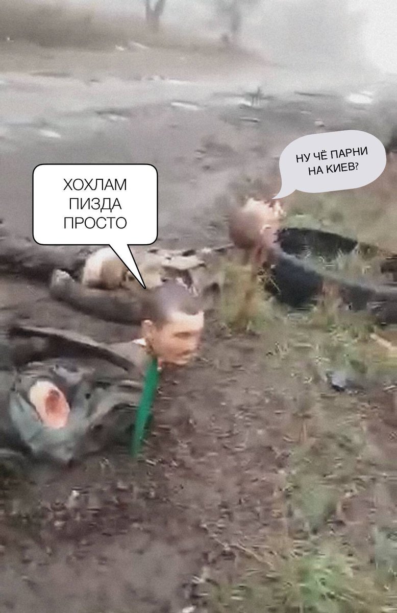 JasonVark's tweet photo. @nzi1369366 @FellaHrx69 https://t.co/Y1IWNKsazf