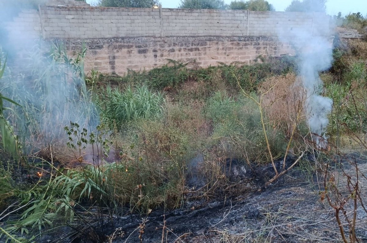 AgriculturaGOIB's tweet photo. Incendi forestal #IFTorrentGros
Gravetat potencial 0
Mitjans d'@AgriculturaGOIB actuant: 1 autobomba, 5 bombers forestals i 1 agent de Medi Ambient 
#Palma #Mallorca https://t.co/BQkGNsg2U2