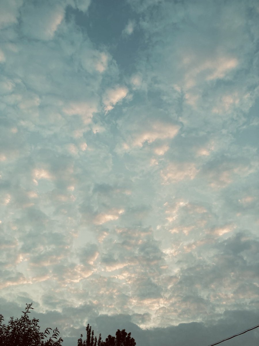 clean_and_cool's tweet photo. おはようございます！
青空＋朝焼け、きれい〜
さあ、今日も、今週も、
笑顔いっぱいでまいりましょう😊 https://t.co/anE3LG0RQS