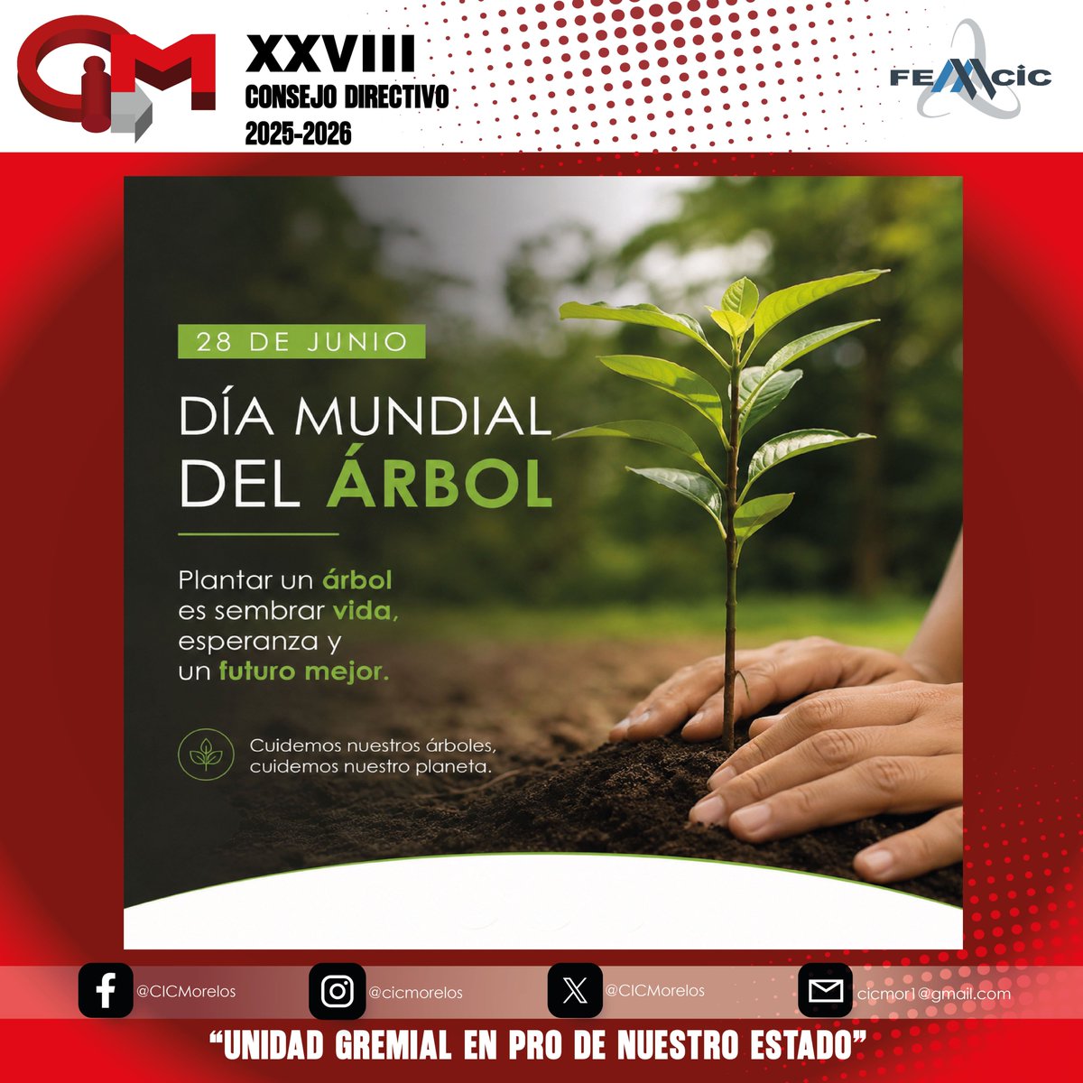 CICMorelos's tweet photo. En el 𝗖𝗜𝗖𝗠𝗼𝗿𝗲𝗹𝗼𝘀 reconocemos la importancia de los árboles como aliados indispensables para el equilibrio ambiental, la conservación del agua, la protección del suelo y el desarrollo sostenible de nuestras comunidades.

#díamundialdelárbol #cicmorelos https://t.co/tRS6CbKRHJ
