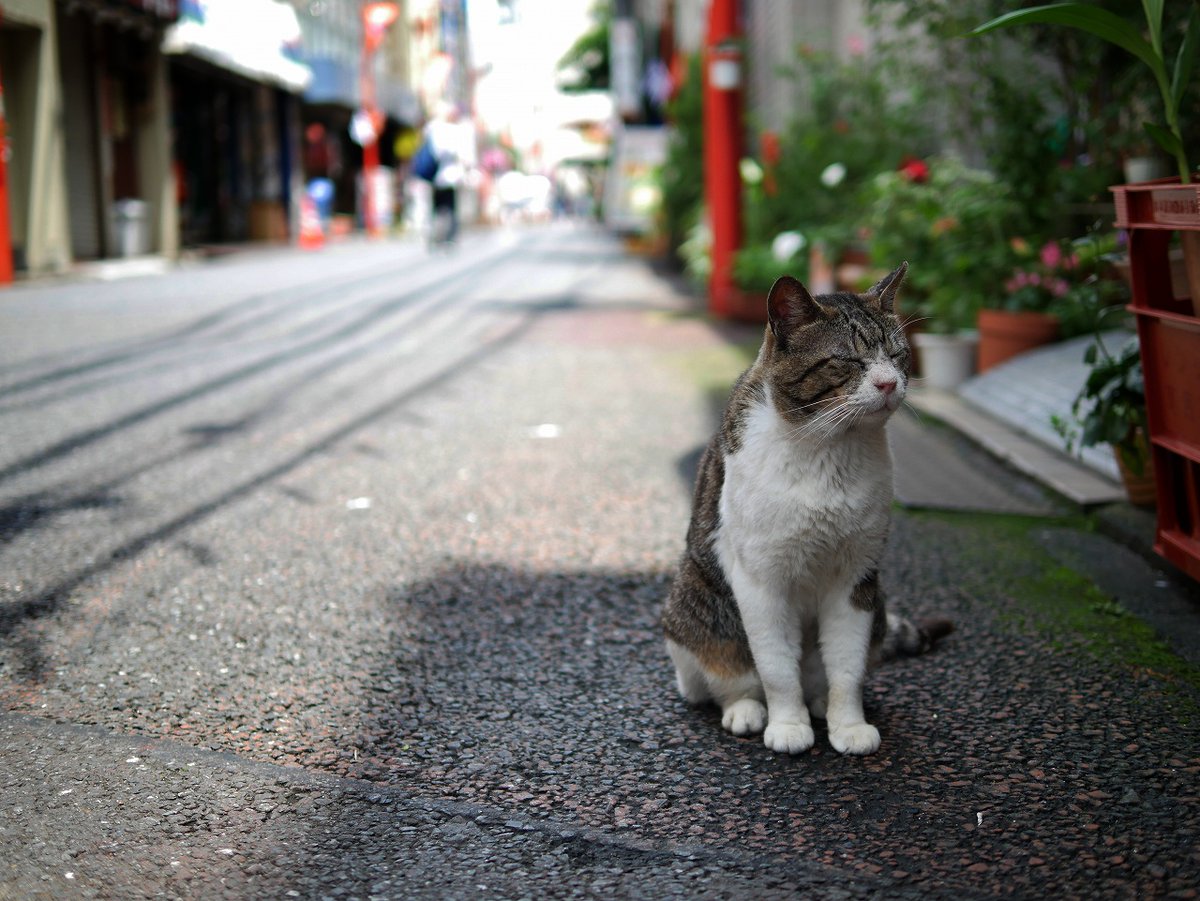 distancezero's tweet photo. おはよう月曜日 https://t.co/7QIdtGGWvt