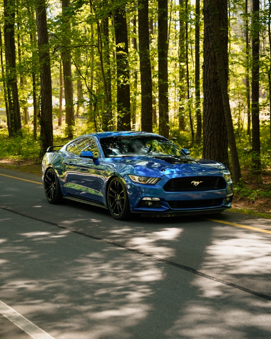 KustomInterior's tweet photo. Built for power. Styled to stand out. ๐ฅ๐ค @ntb.rides
#kustom_interior #SeatCovers #FordMustang #MustangGT #CustomInterior https://t.co/Ej4umTRy5t