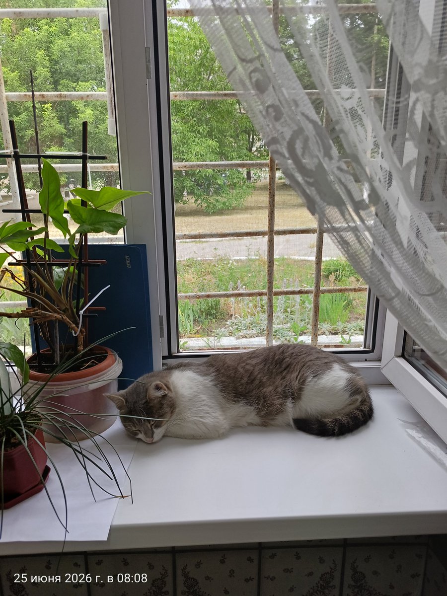 jupiter_999's tweet photo. Единственная, кто радует на работе🙄🥺 https://t.co/dBLJm6nOsq