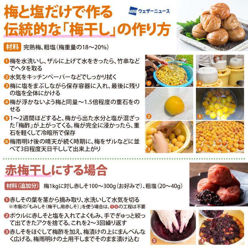wni_jp's tweet photo. 【材料2つで簡単！昔ながらの梅干し】
6月も終盤、梅仕事の最盛期です。梅と塩だけで作る伝統的な梅干しは、長期保存が可能なだけでなく、カリウムやカルシウムなども豊富です。
基本の白梅干しから、赤しそを使った赤梅干しの工程、塩抜きの裏ワザまでを解説します。
https://t.co/VCH4qjgJzx https://t.co/xt3fkZtSN5