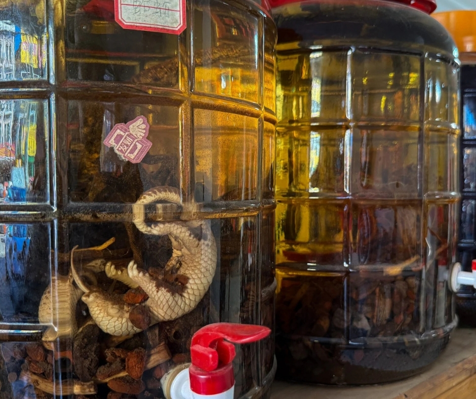 survivalanimal's tweet photo. 🇱🇦 Wildlife traffickers stole Pepsi from the wild &amp; nearly turned him into a cruel novelty rice wine product 🐾

Now this tiny pangolin is safe, but he needs special milk formula &amp; expert care to survive.

🔗 Be his hero today &amp; donate now: https://t.co/giCEoRJyZp https://t.co/XRvsSyN4Zu
