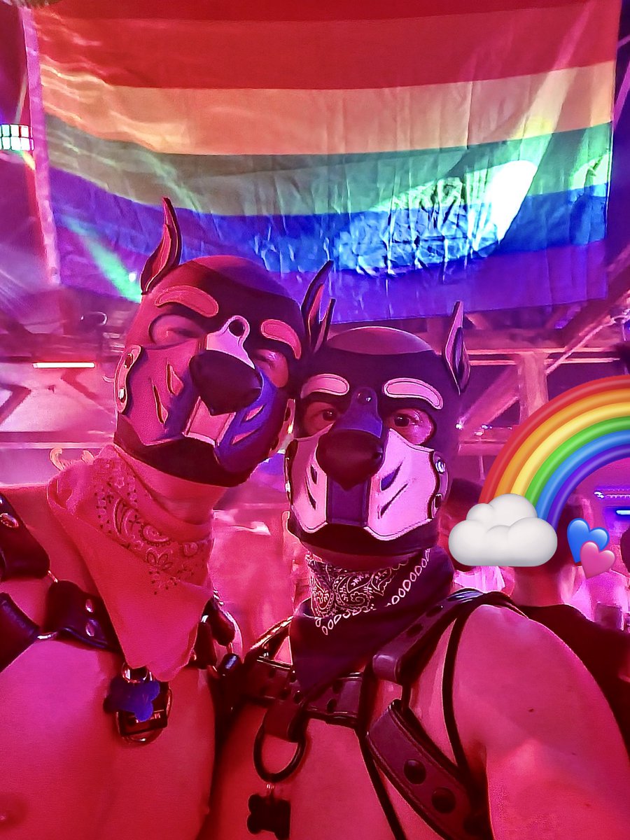 Pup_Keen's tweet photo. Closing out Raleigh Pride with @PupBond 🌈💙🩶🩷 Happy Pride everyone!! https://t.co/MsjmOKf55X