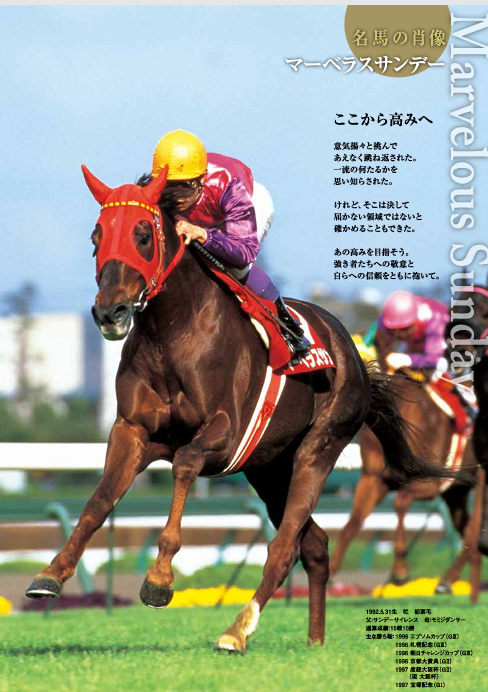 6月30日の命日 マーベラスサンデー（享年24歳） 織田米晴牧場にて