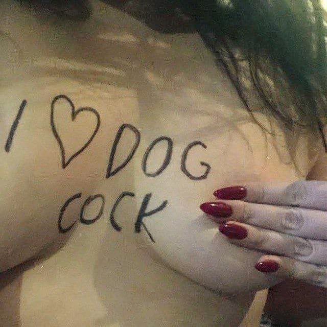 victoriapawss's tweet photo. 🐶❤️
#Dogs #dogknot #zoophillia #Bestiality #Creampies #USA #doglovers #Pawlove 
Ask for Menu 🐾

📂https://t.co/dishqGsBFt https://t.co/lok06csINB