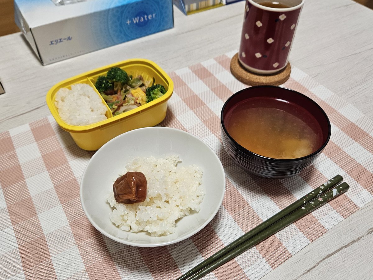 dr_jr2's tweet photo. あさごはんとおべんと～ https://t.co/0Cm5DQzSeA