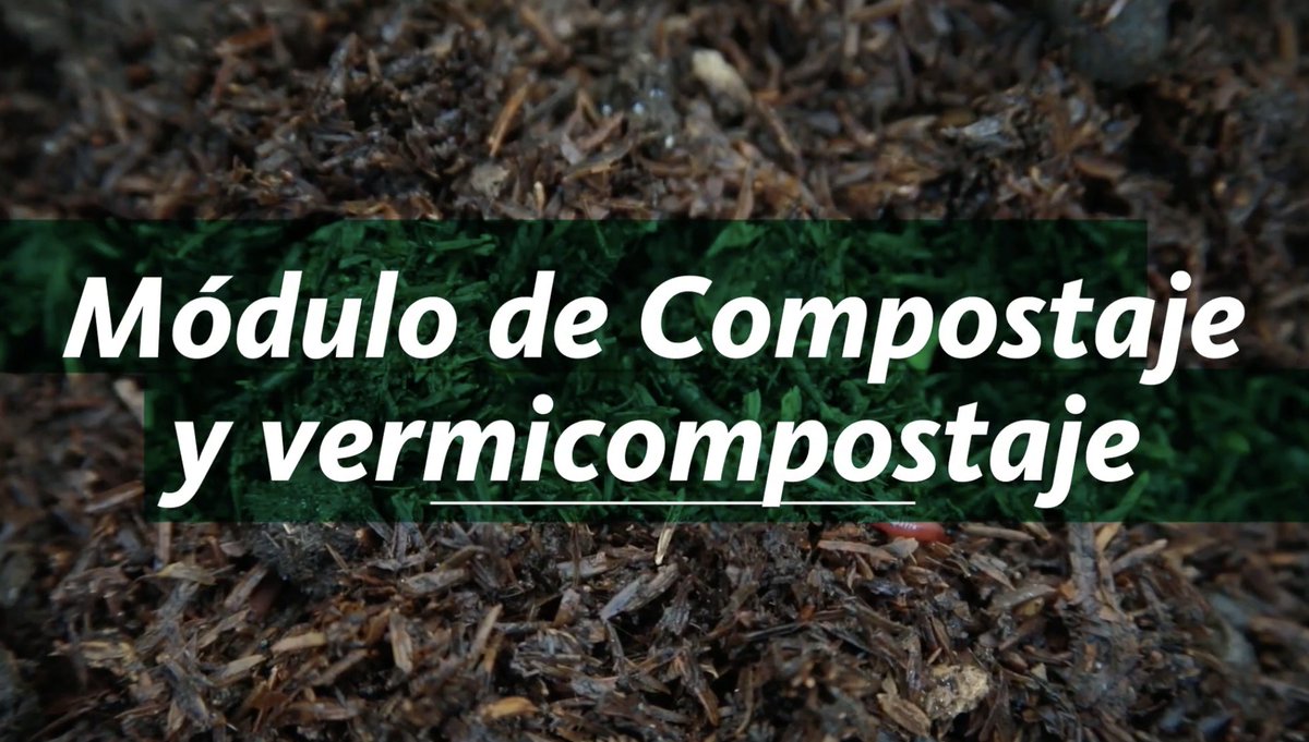 SomosAGROSAVIA's tweet photo. ♻️🌱 El manejo integral de los residuos sólidos orgánicos es clave para una gestión ambiental sostenible. Conoce el módulo de compostaje y vermicompostaje y descubre cómo aprovechar estos residuos de manera eficiente.
🎥 Mira el video aquí: https://t.co/SK3wZmAOE4
💬 Incorpora estas prácticas y ayuda a promover acciones que fortalecen la sostenibilidad ambiental.
