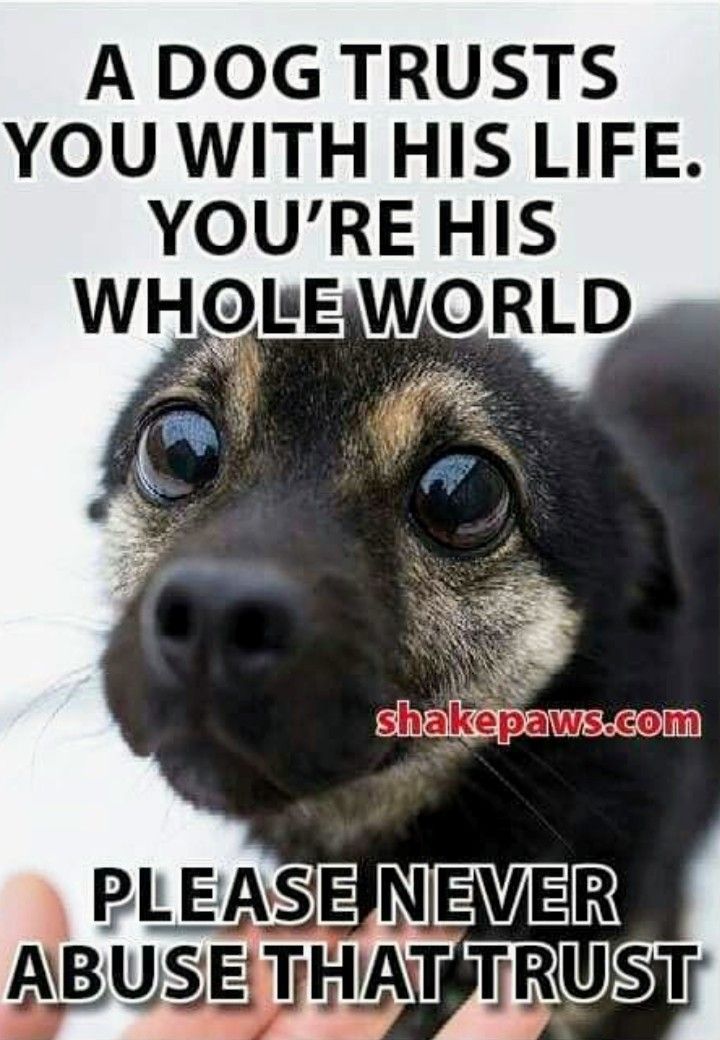 DogLovers03's tweet photo. https://t.co/pBtk1HiQfB