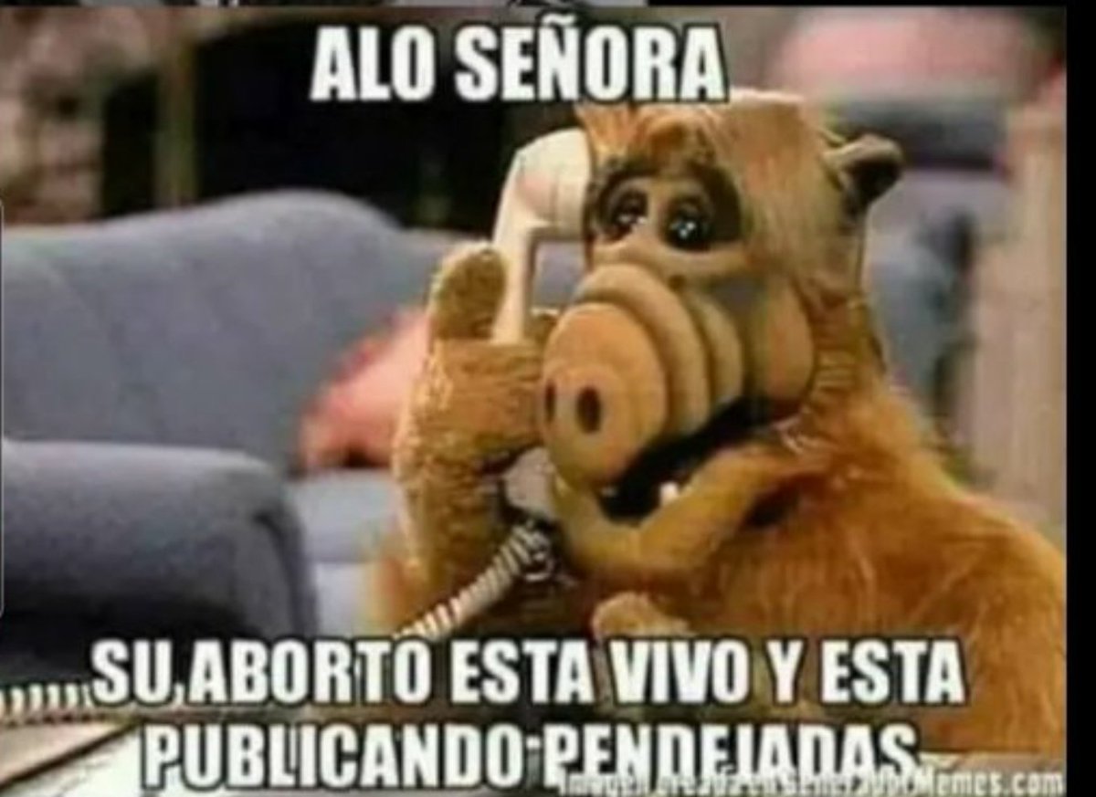 piratanomada's tweet photo. @PedroReyes87471 https://t.co/jWS9dfjZ7r