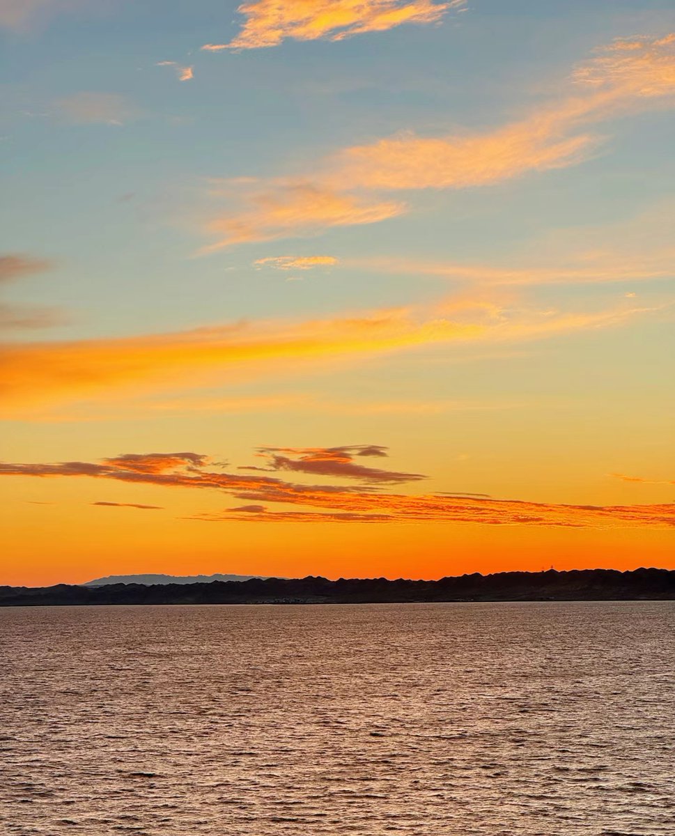 GuriniNine's tweet photo. [Hi campus crew! Our Photography Club's sunset shoot by the lake this Sat 5-7PM is open to all skill levels—bring your camera or just eyes for great shots! Free snacks u0026 tips from pro members ]， https://t.co/vklyaZbV2R