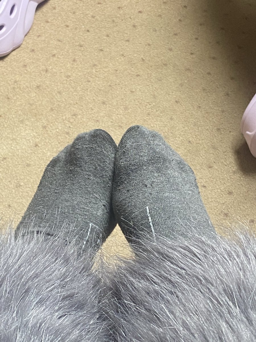 lilybogini's tweet photo. Twoim marzeniem jest wylizać moje przepocone stopy cwelu😘
#fridom #stopy https://t.co/i6fPTdP3pN