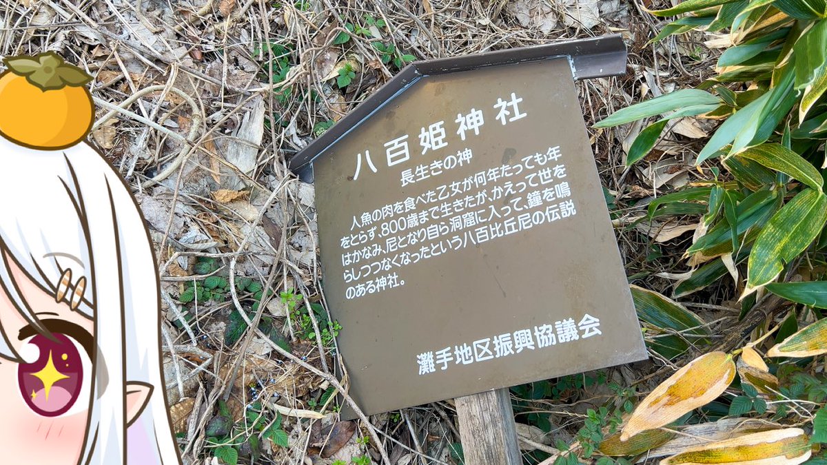 otane_ch's tweet photo. おはようございま〜す🌱

#倉吉市 の #八百姫神社 は、人魚の肉を食べた乙女が800歳まで生きたという八百比丘尼の伝説のある神社で、長生きの神として祀られているそうですよ〜✨

さすがに800歳までは遠いですが…見習って長生きしないとですね〜…🐍

#鳥取県
#ご当地Vtuber
https://t.co/N5obf7pmCe https://t.co/0SHlBOu7sC