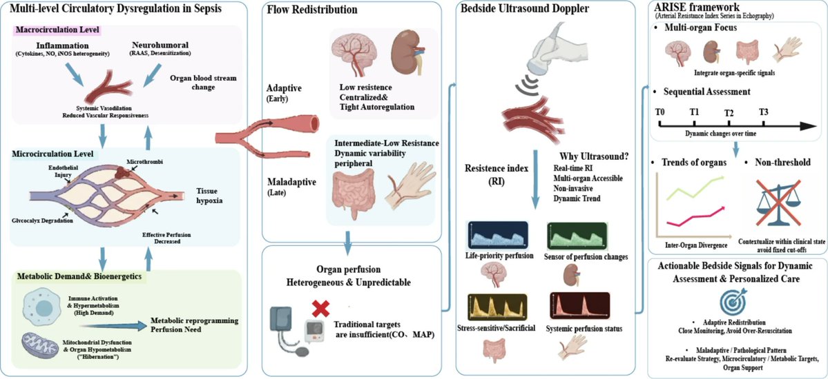 CritCareReviews's tweet photo. ARISE framework: a temporal, multi‑organ view of perfusion in sepsis

CCR Journal Watch
https://t.co/Sp06oA6IDG https://t.co/QFcEj5v5Y4
