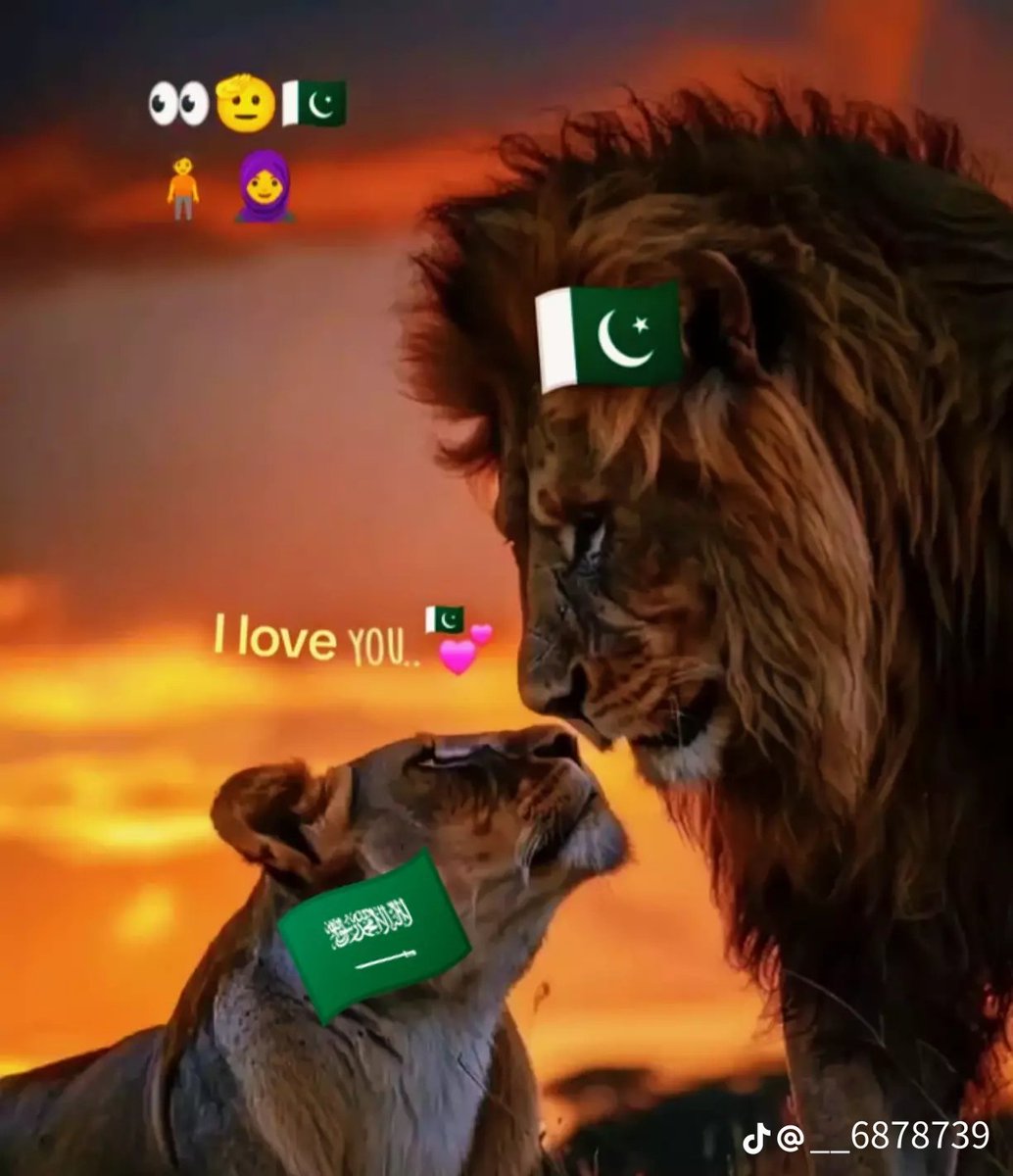 kN4pmdIvf9VdYsk's tweet photo. حساب في منصة التيك توك يستخدمه مقيم باكستاني على اساس أنه بنت يسيء إلى بنات السعوديه .رابط حسابه https://t.co/e1Zl37YfM3
@MOISaudiArabia 
@HRSD_SA 
@pss_ar 
@ppgovsa 
@MOI__911 
@kamnapp
@NCA_KSA https://t.co/GZtLHbIVQi