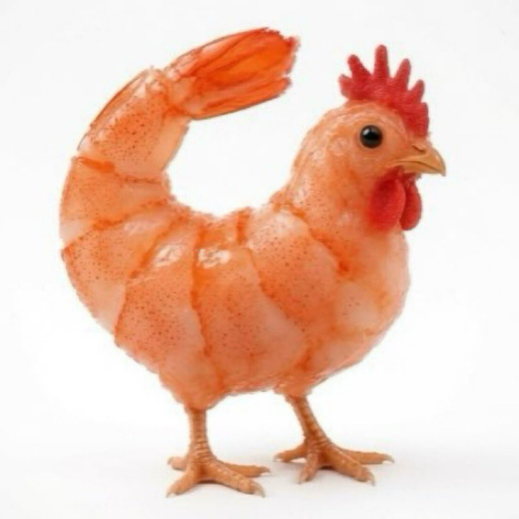 ImChickenShrimp's tweet photo. @america it’s chicken shrimps birthday as well. 

birthday twinn https://t.co/NQ6FvPmCv0