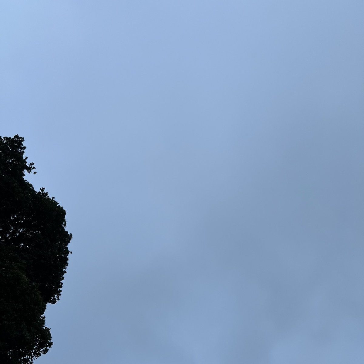 take777_'s tweet photo. おはようございます

空気ムシムシ　天気は曇り☁️
午前中は雲が多いらしい
昼頃から晴れる☀️らしい
日中は蒸し暑くなるらしい

今週も元気に頑張りましょう
٩( 'ω' )و https://t.co/xZCcRxvCCT