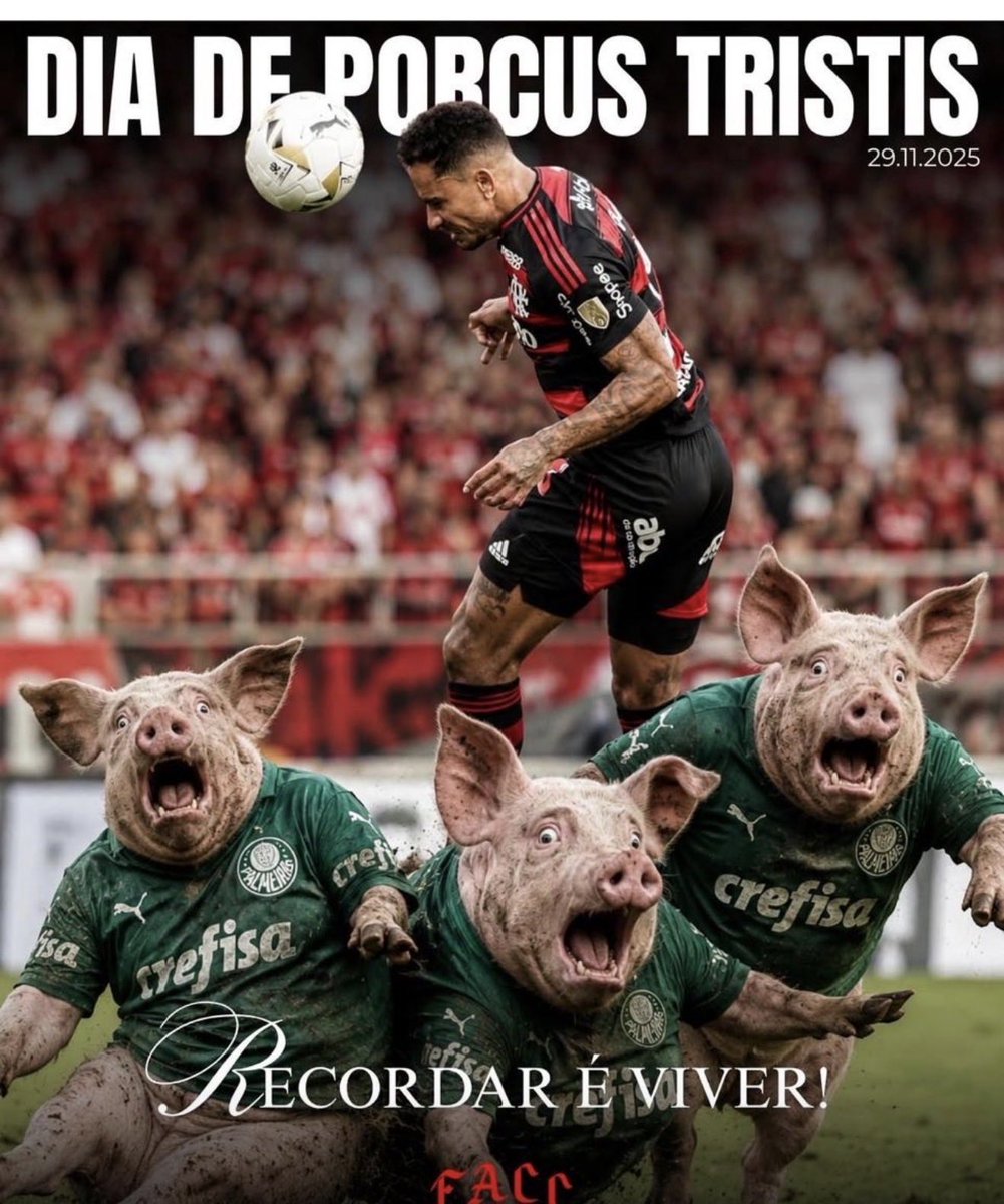 edupauvi's tweet photo. @Palmeirasso51 https://t.co/mSdidcj0Ab