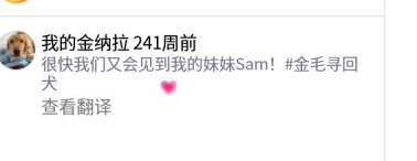 Joey01000000's tweet photo. nala在ins上发过的唯一的其他狗，nala姐姐，翻译过来“很快就会见到我的姐姐sam了"
https://t.co/iV6ulovRii https://t.co/BzWwQUJboy