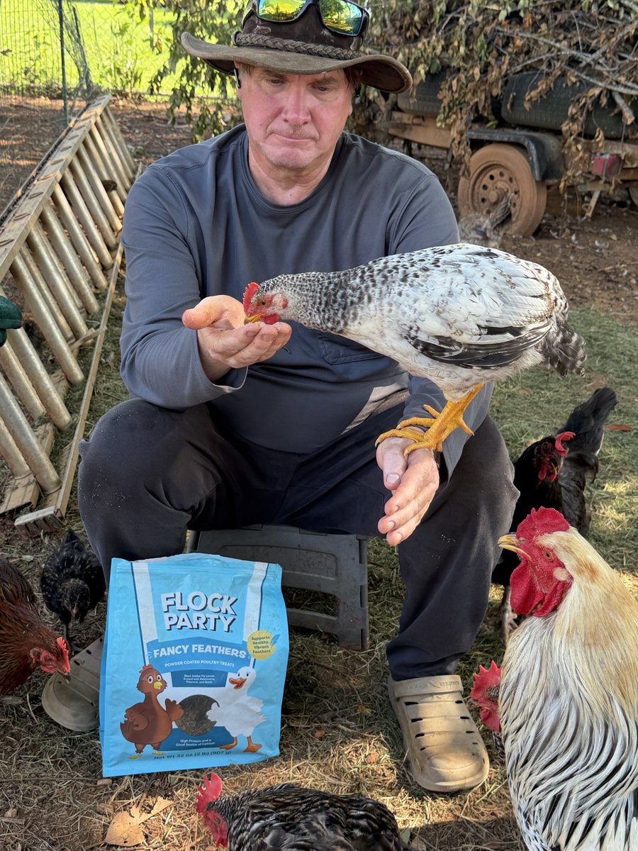 VBCMEDIC1's tweet photo. They love Flock Party mealworms https://t.co/L7IWW606xP