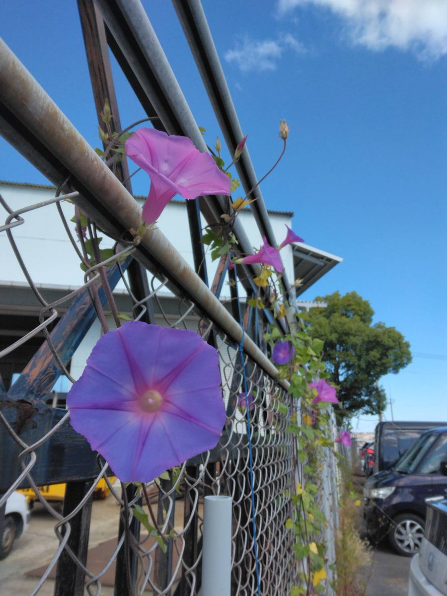 TACTECH_Kagawa's tweet photo. 🌞【熱中症対策】🌞
気温が高くなるこの季節、現場で働くスタッフの安全を第一に考え、熱中症対策を強化しています。
✅ こまめな水分・塩分補給 
✅ 空調服や冷却グッズの活用 
✅ 定期的な休憩・体調確認 https://t.co/PeNItsqCQN