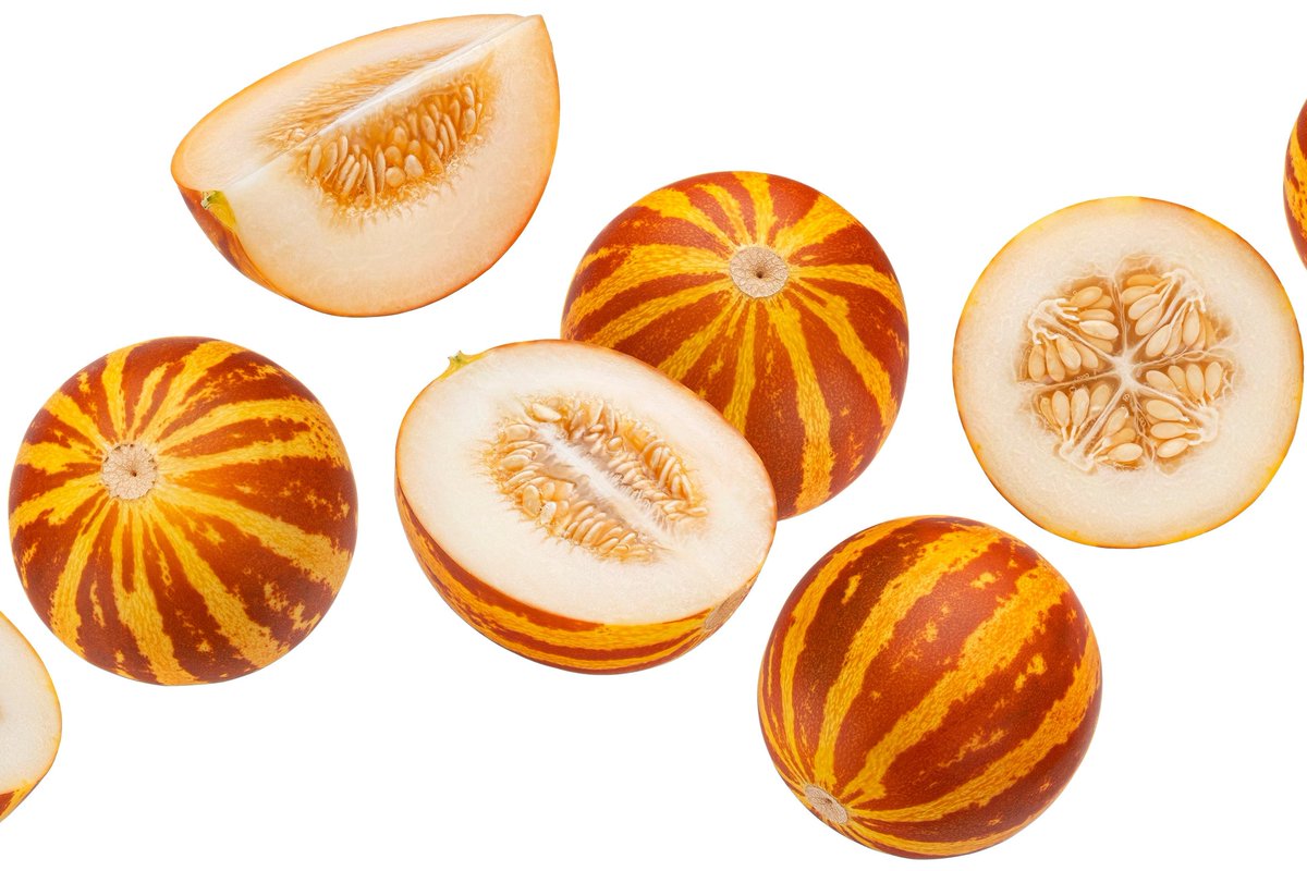 redncyh's tweet photo. @dirdwolf Mine is a tiger melon https://t.co/wzcFvLB7kn